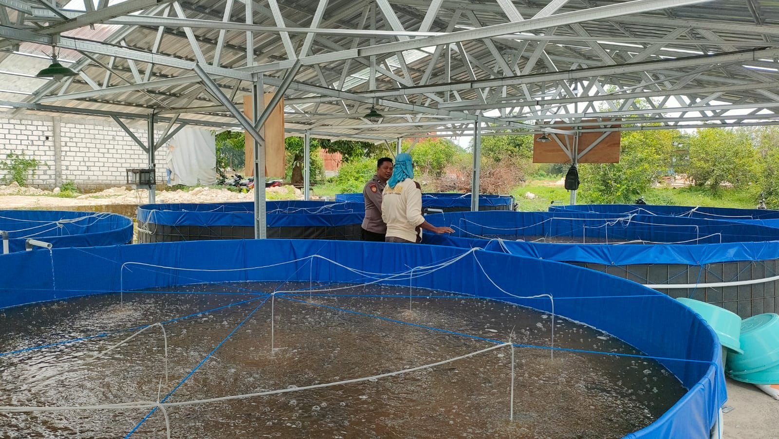 Polsek Sidayu Aktif Dukung Ketahanan Pangan, Tinjau Kolam Lele di Desa Lasem