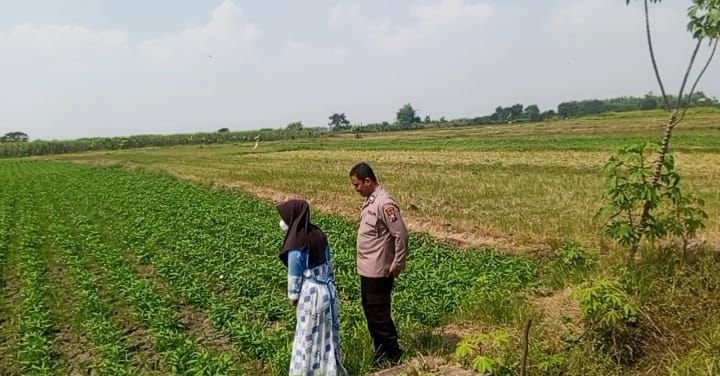 Polsek Balongpanggang Intensifkan Pemantauan Kangkung Milik Warga