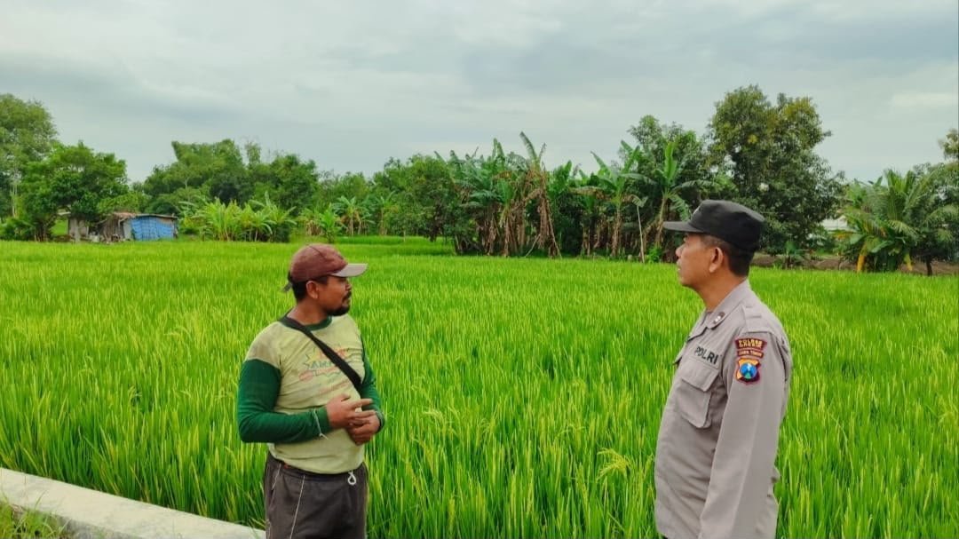 Sinergi Polri dan Petani, Polres Gresik Optimalkan Ketahanan Pangan di Bungah