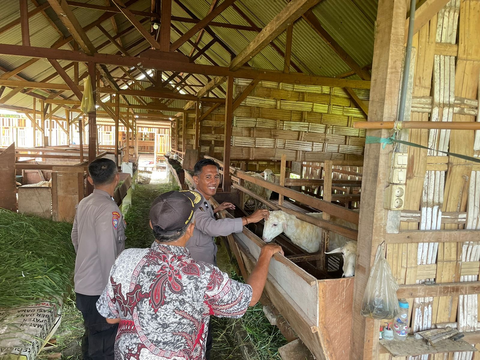 Perkuat Ketahanan Pangan, Polsek Manyar Dampingi Peternak Kambing di Peganden