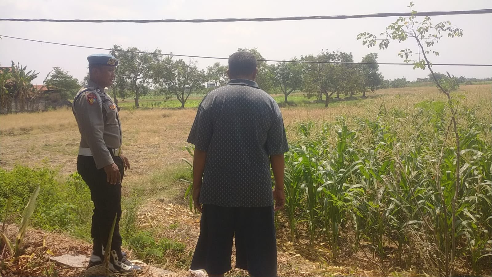 Kawal Ketahanan Pangan, Polsek Balongpanggang Pantau Produktivitas Petani Jagung