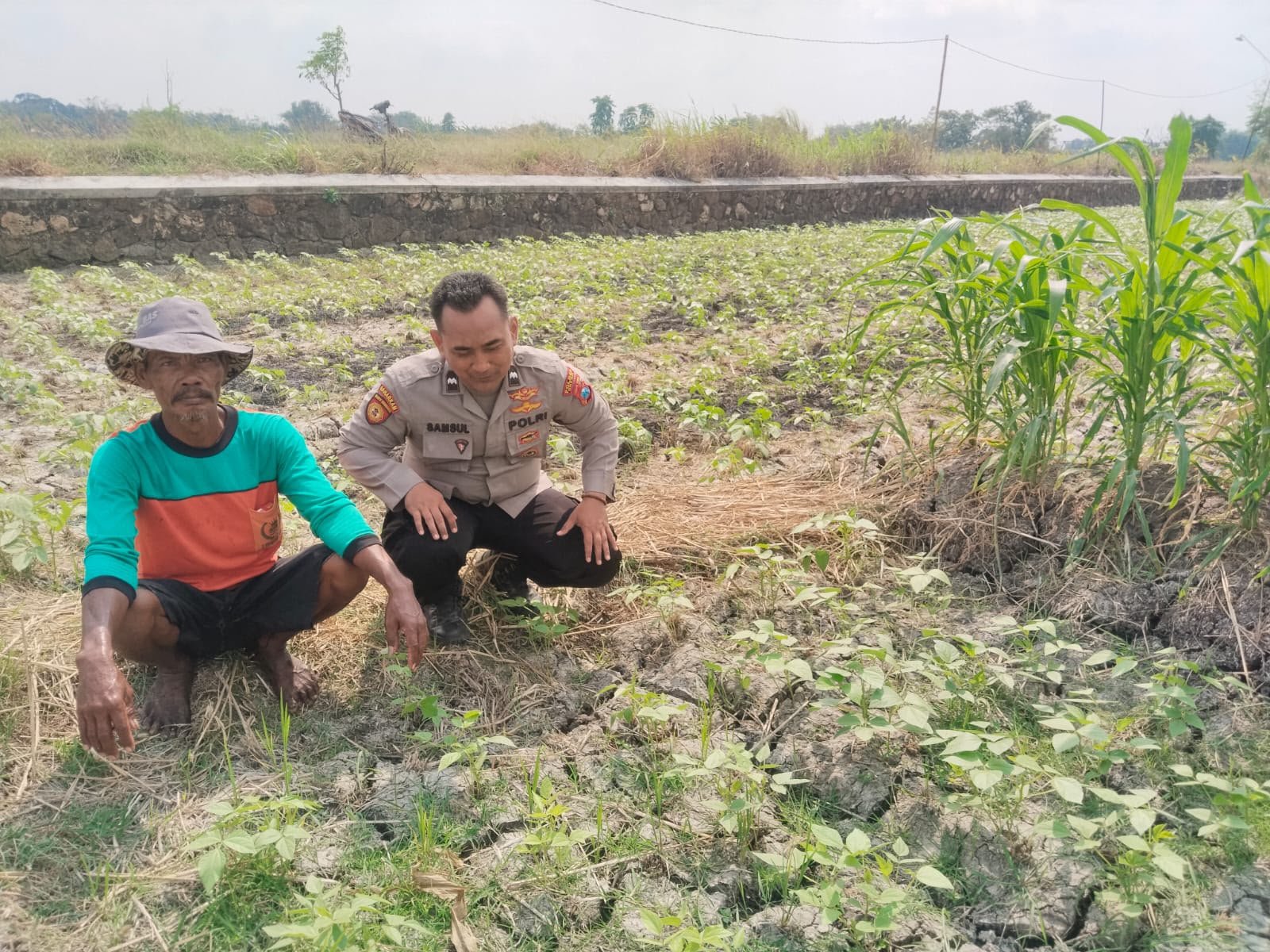 Manfaatkan Lahan Produktif, Polsek Benjeng Perkuat Program Ketahanan Pangan