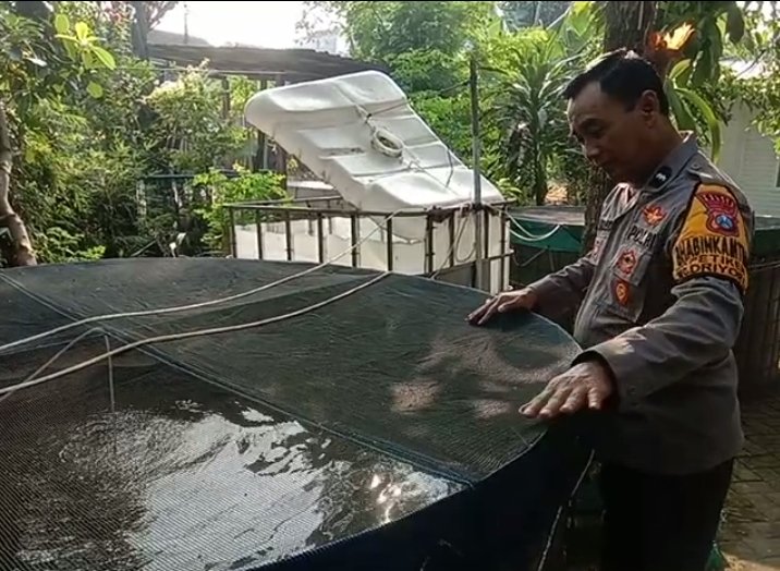 Jaga Ketahanan Pangan, Polres Gresik Aktif Pantau Budidaya Lele Masyarakat