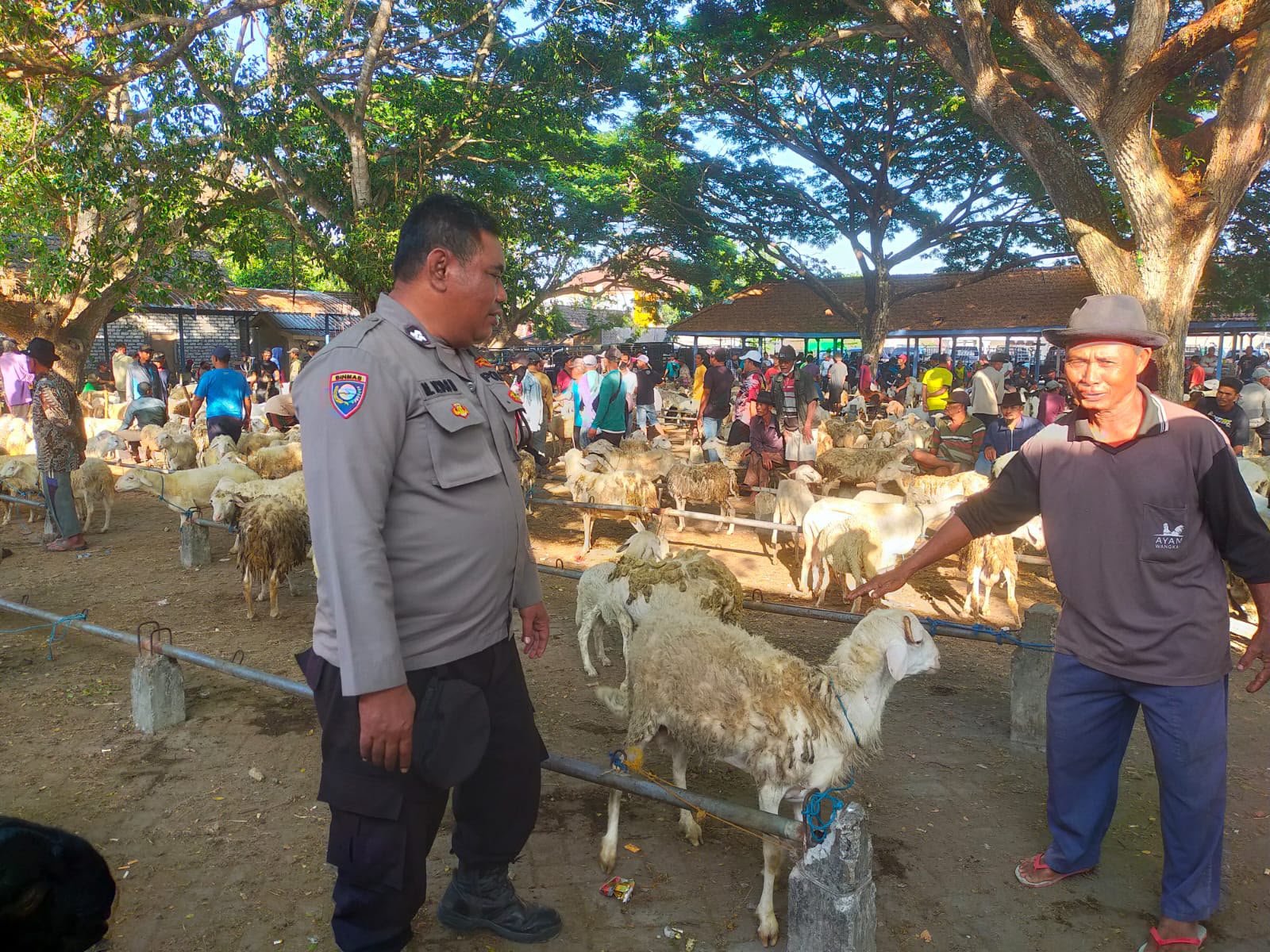 Polri Hadir di Tengah Peternak, Polsek Dukun Cek Pasar Kambing Kencana
